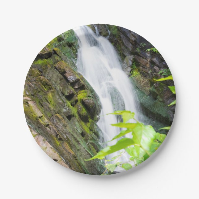 Wasserfall des Hell's Gate Canyon Pappteller (Vorderseite)