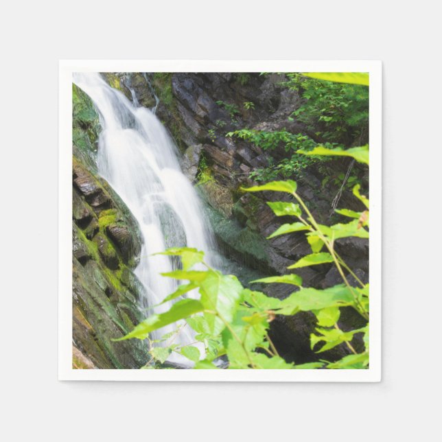 Wasserfall des Hell's Gate Canyon Serviette (Vorderseite)