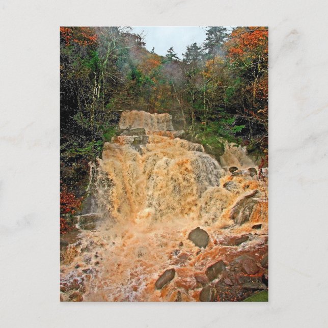 Wasserfall des Hunter Mountain Postkarte (Vorderseite)