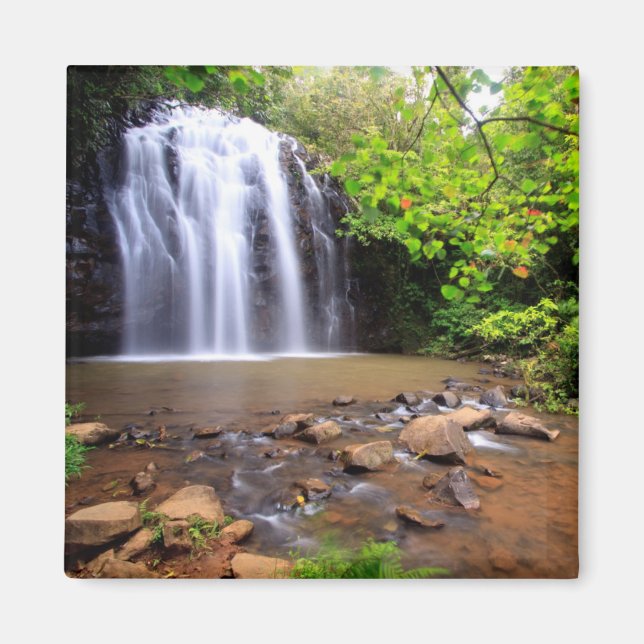 Wasserfall Ellinjaa, Australien Magnet (Vorne)