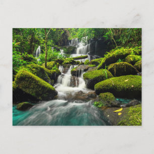 Wasserfall im Dschungel   Phu Tub Berk Mountain Postkarte