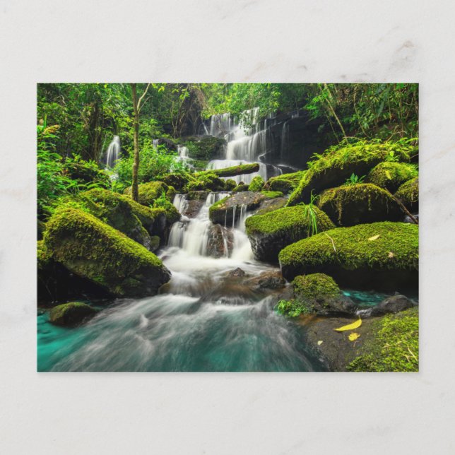 Wasserfall im Dschungel | Phu Tub Berk Mountain Postkarte (Vorderseite)