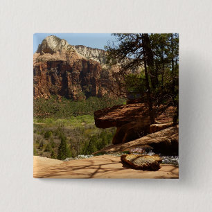 Wasserfall im Emerald Pools im Zion Nationalpark Button