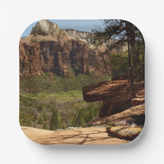 Wasserfall im Emerald Pools im Zion Nationalpark Pappteller (Vorderseite)