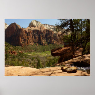 Wasserfall im Emerald Pools im Zion Nationalpark Poster