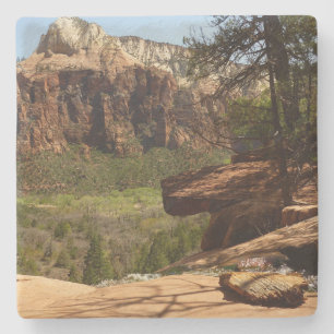 Wasserfall im Emerald Pools im Zion Nationalpark Steinuntersetzer