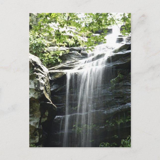 Wasserfall im Fern Clyffe Staat Park Postkarte (Vorderseite)