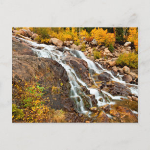 Wasserfall im Grand Teton National Park Postkarte