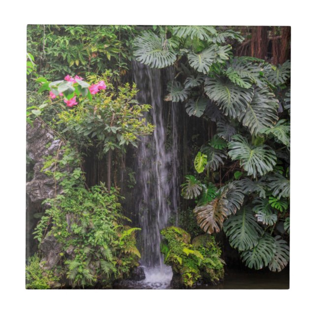 Wasserfall im Grünen, China Fliese (Vorderseite)
