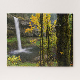 Wasserfall im Herbst im Silver Falls Staat Park