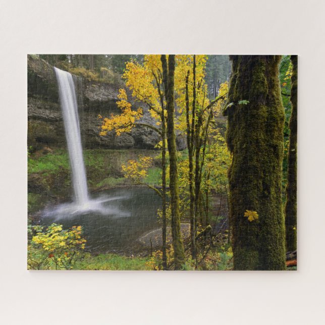 Wasserfall im Herbst im Silver Falls Staat Park (Horizontal)
