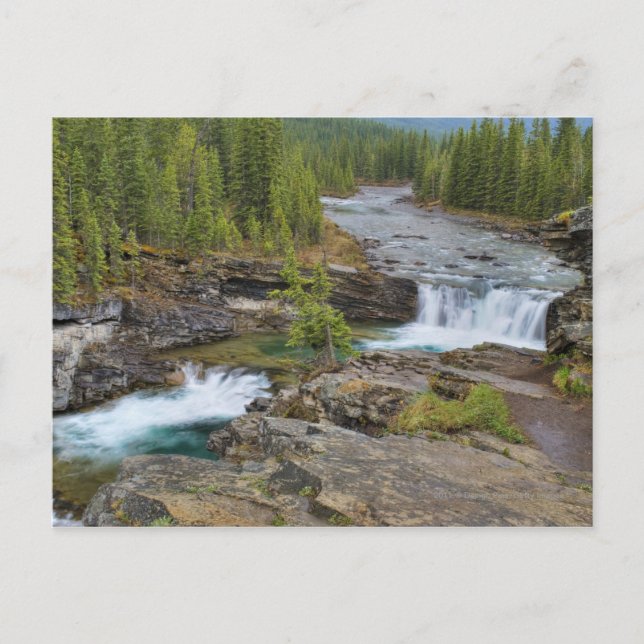 Wasserfall im kanadischen Felsgebirge Postkarte (Vorderseite)