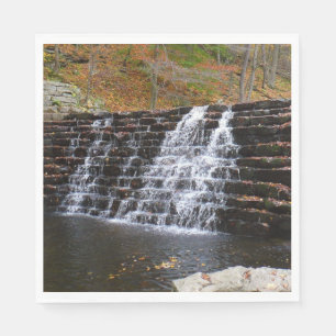 Wasserfall im Laurel Hill Staat Park I Serviette