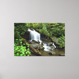 Wasserfall im Smoky Mountain National Park Leinwanddruck