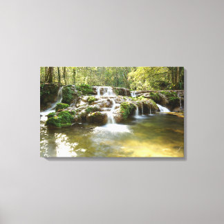 Wasserfall im Wald Leinwanddruck