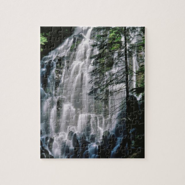 Wasserfall im Wald, Oregon (Vertikal)