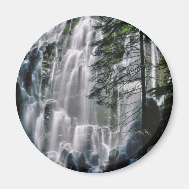 Wasserfall im Wald, Oregon Magnet (Vorne)
