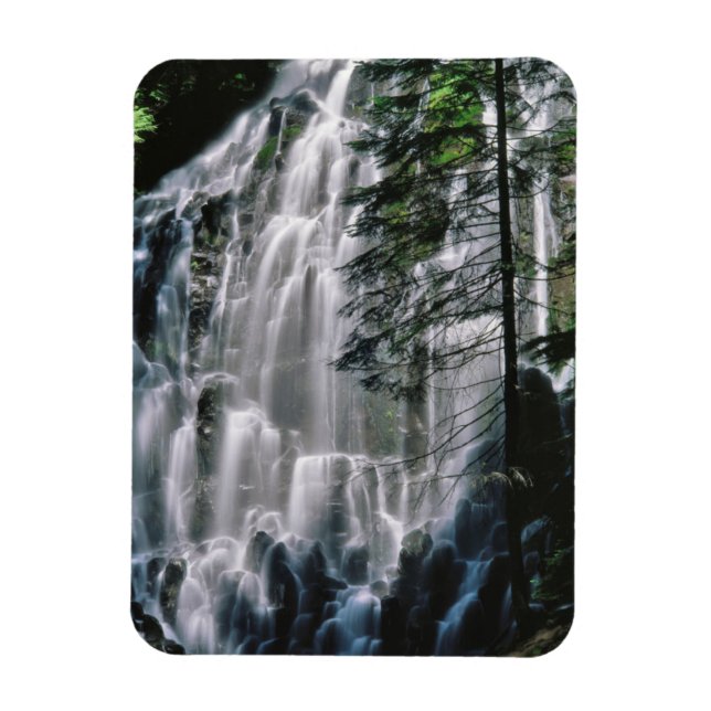 Wasserfall im Wald, Oregon Magnet (Vertikal)