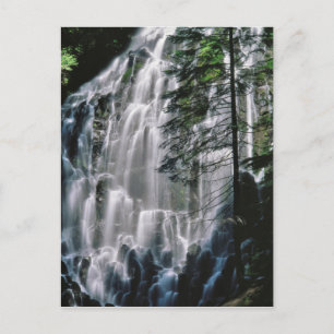 Wasserfall im Wald, Oregon Postkarte