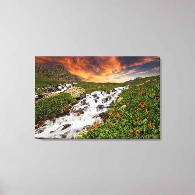 Wasserfall in den Bergen mit Blume Leinwanddruck (Vorderseite)