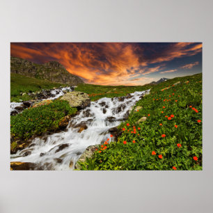 Wasserfall in den Bergen mit Blume Poster