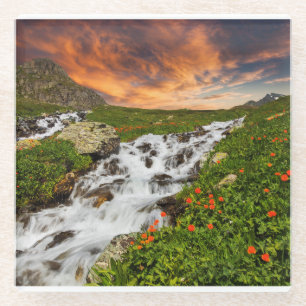 Wasserfall in den Bergen mit Blumen Glasuntersetzer