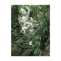Wasserfall in Dominica