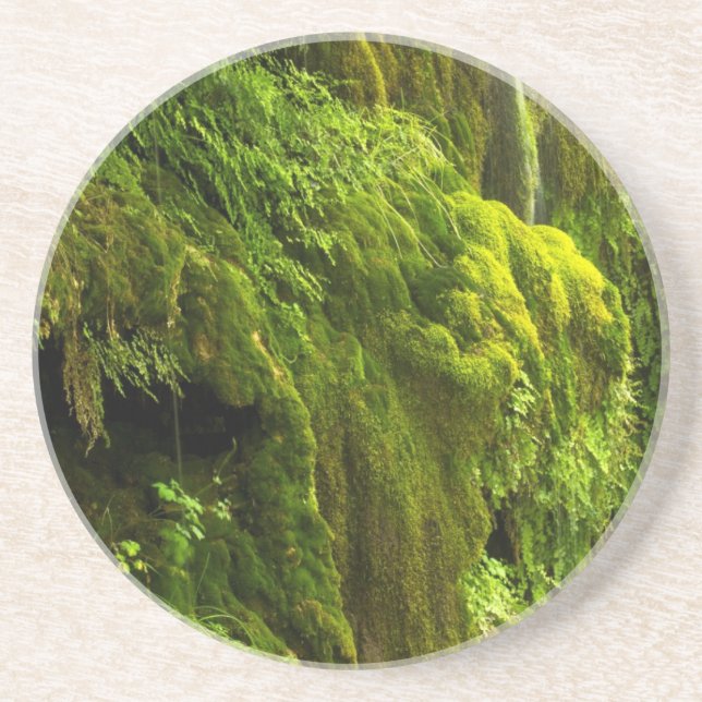 Wasserfall in Grün Getränkeuntersetzer (Vorne)