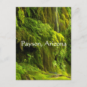Wasserfall in grün in Payson, Arizona, Postkarte
