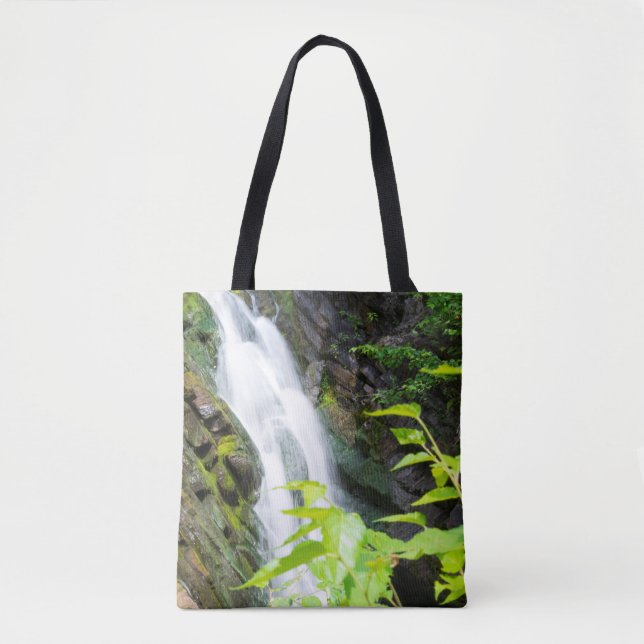 Wasserfall in Hell's Gate Canyon Tasche (Vorderseite)