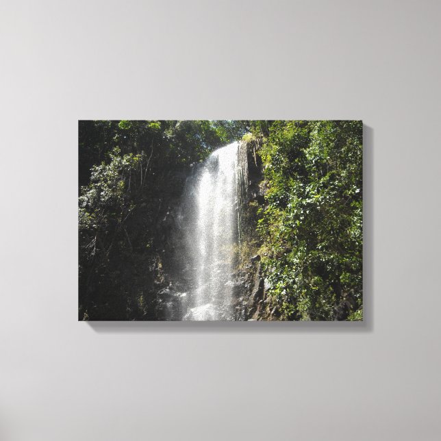 Wasserfall in Kauai, Hawaii Leinwanddruck (Vorderseite)