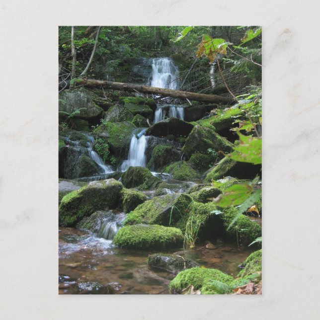 Wasserfall Kaskade in üppiger Waldlandschaft Natur Postkarte (Vorderseite)