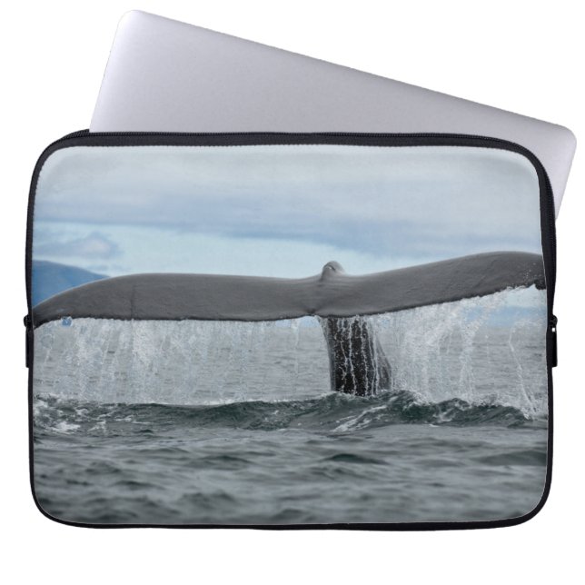 Wasserfall Laptopschutzhülle (Vorderseite)