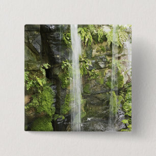 Wasserfall, mäßiger Regenwald, Neuseeland. Button