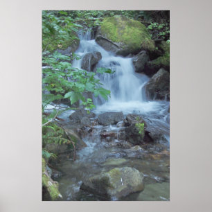 Wasserfall ohne Namen Poster
