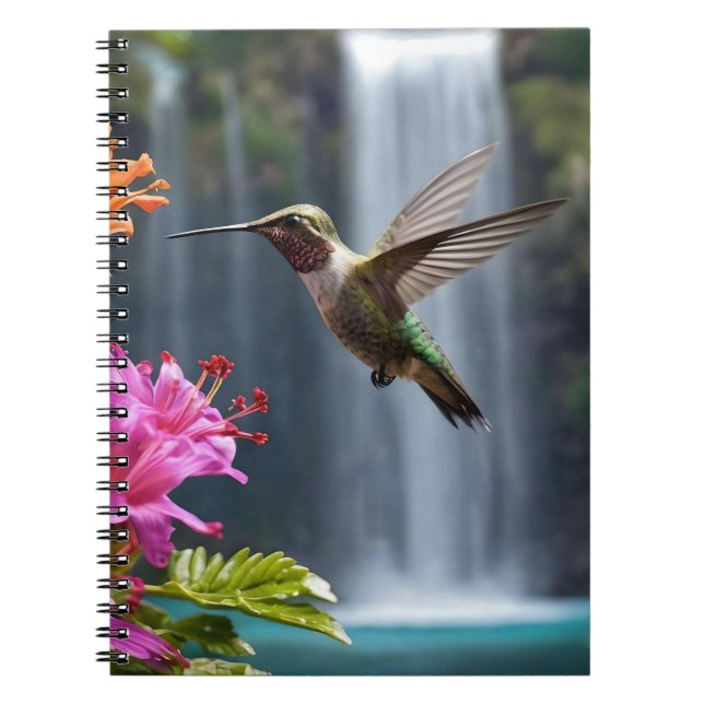 Wasserfall Park Hummingbird, Notizblock (Vorderseite)