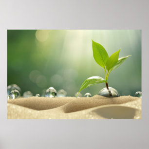 Wasserfall Pflanze Sand Ruhige Friedliche Poster