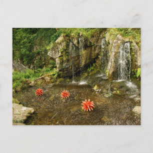 Wasserfall Postkarte