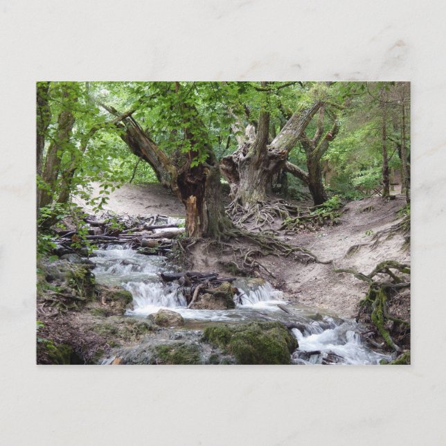 Wasserfall Postkarte (Vorderseite)