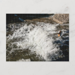 Wasserfall, Robert H Treman Staat Park, New York Postkarte