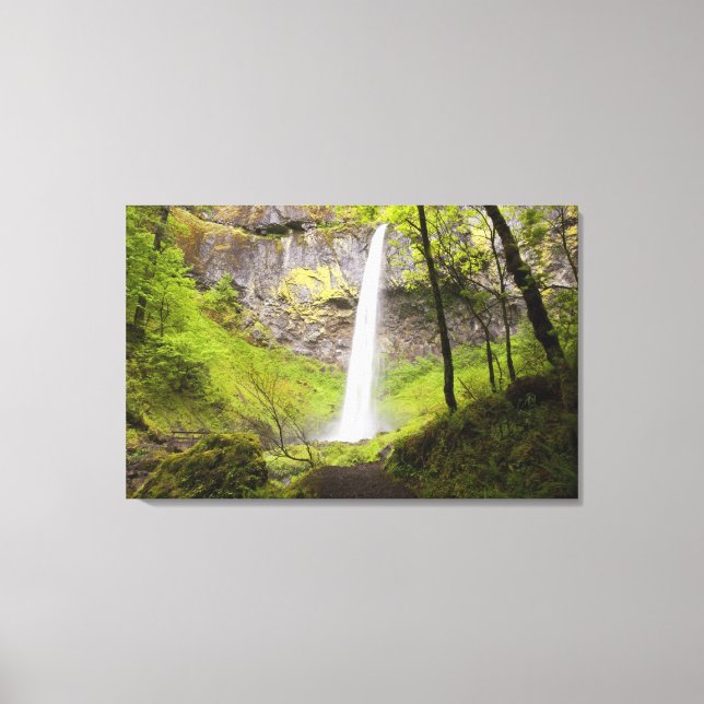 Wasserfall rund um die grüne Landschaft von Oregon Leinwanddruck (Vorderseite)