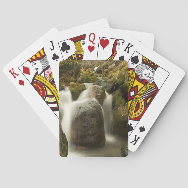 Wasserfall-tropisches Spielkarten (Rückseite)
