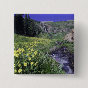 Wasserfall und Wildblumen auf Almwiese, 2 Button