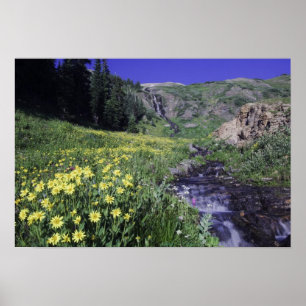 Wasserfall und Wildblumen auf Almwiesen, 2 Poster