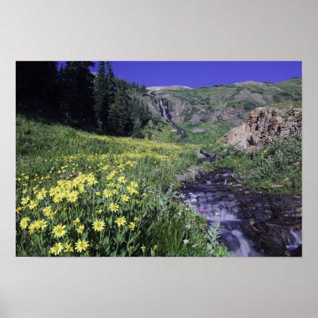 Wasserfall und Wildblumen auf Almwiesen, 2 Poster (Vorne)