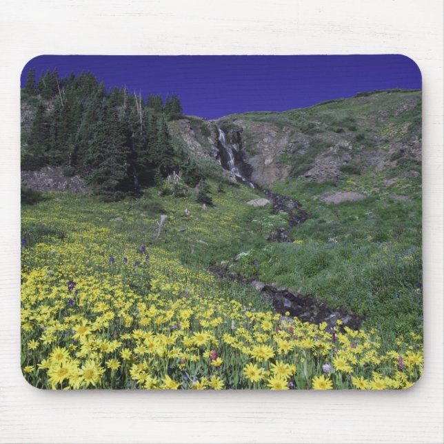 Wasserfall und Wildblumen auf Almwiesen, 3 Mousepad (Vorne)