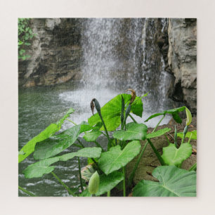 Wasserfall, Wasser, Landschaft, Natur,