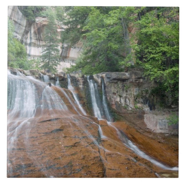 Wasserfall, Zion National Park, Utah, USA Fliese (Vorderseite)