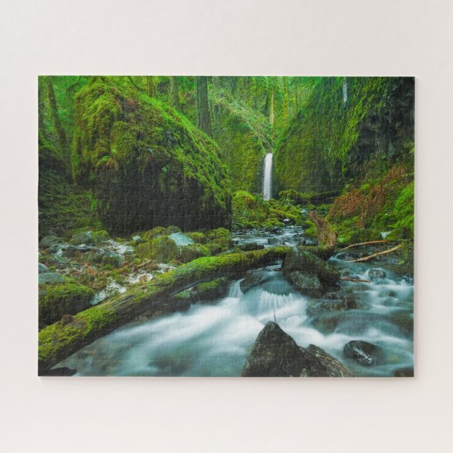 Wasserfälle | Grotto Falls, Oregon (Horizontal)