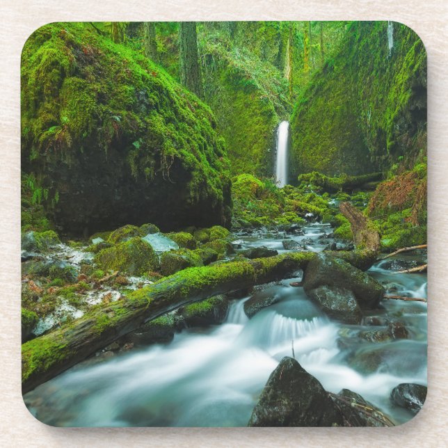 Wasserfälle | Grotto Falls, Oregon Getränkeuntersetzer (Vorderseite)